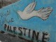 Concentració contra el genocidi d’Israel