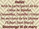 Diumenge: Ball de Gitanes del Vallès a Cerdanyola