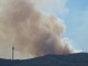 El balanç de l’incendi de dilluns a Collserola deixa un total de 21,2ha cremades