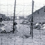Camp de concentració d'Argelés
