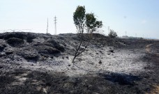 Desastre ecològic al Vallès: La Plana de Reixac es crema Desastre ecològic al Vallès: La Plana de Reixac es crema