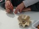 El Museu i Poblat ibèric de Ca n’Oliver proposa un taller de jocs de taula de l’Antiguitat