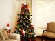 A partir d’avui s’habiliten punts de recollida dels arbres de Nadal